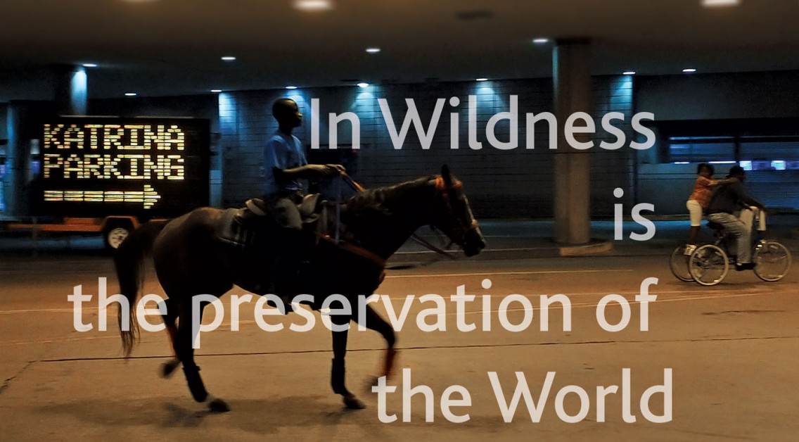 In Wildness is the preservation of the World