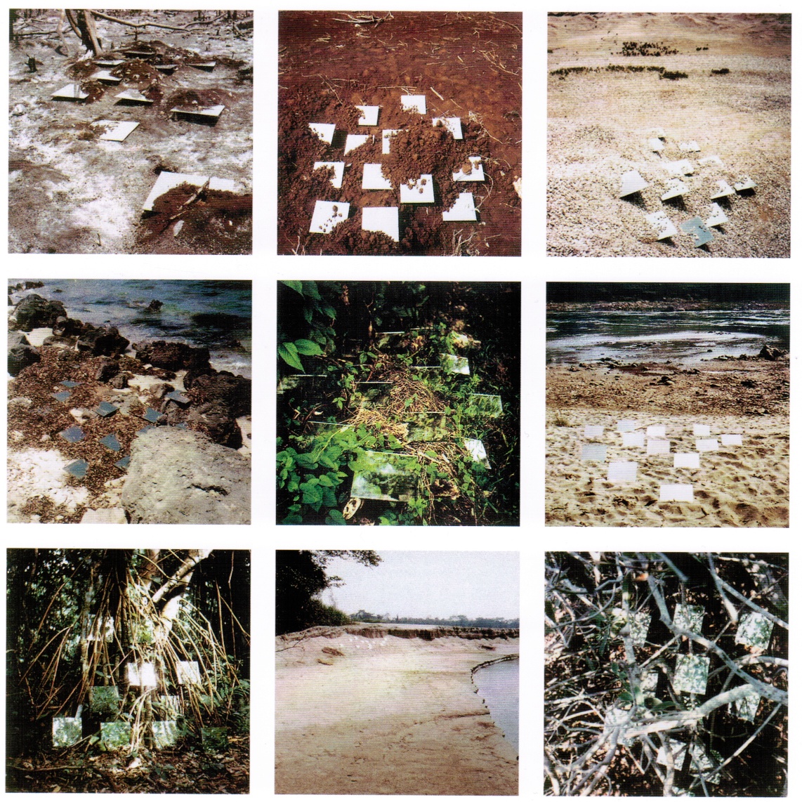 Robert Smithson, 9 Mirror Displacements (« Incidents of Mirror-Travel in the Yucatan »), 1969