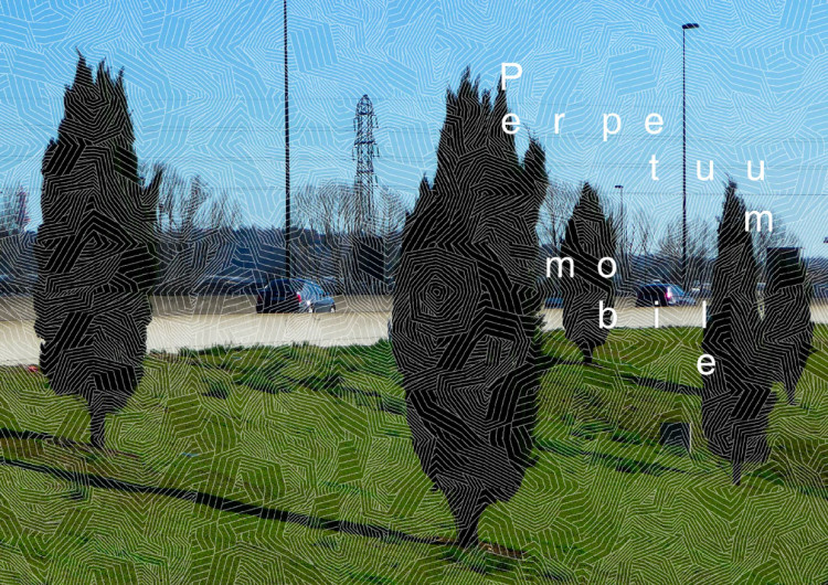 Motif conçu par Sébastien Mazauric avec son logiciel Tessellation (lien en fin de page).