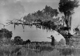 Clarence John Laughlin _Ghosts along the Mississippi-1