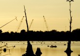 Bayou Triangle, Ninth Ward, New Orleans