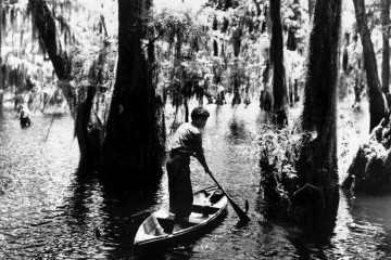 Louisiana Story, par Robert Flaherty. N&B 78 minutes. 1948